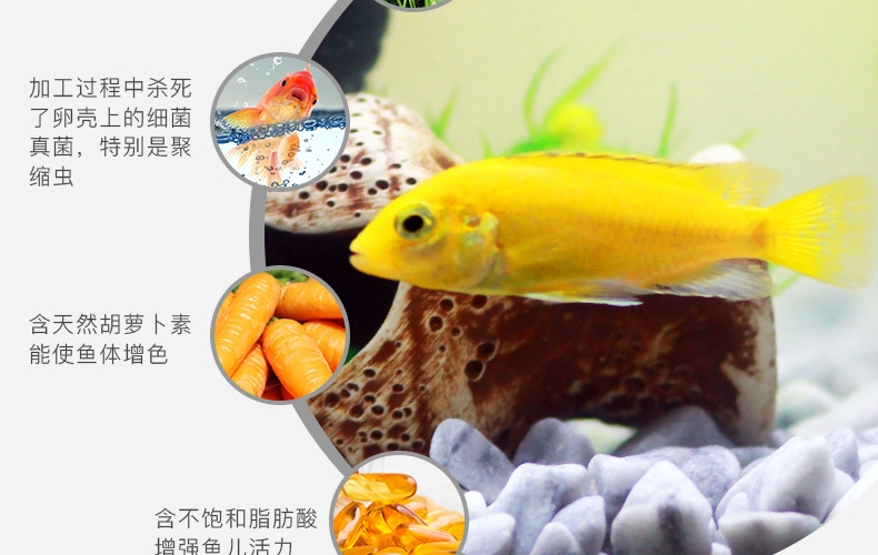 聚宝源脱壳丰年虾卵100ml/瓶