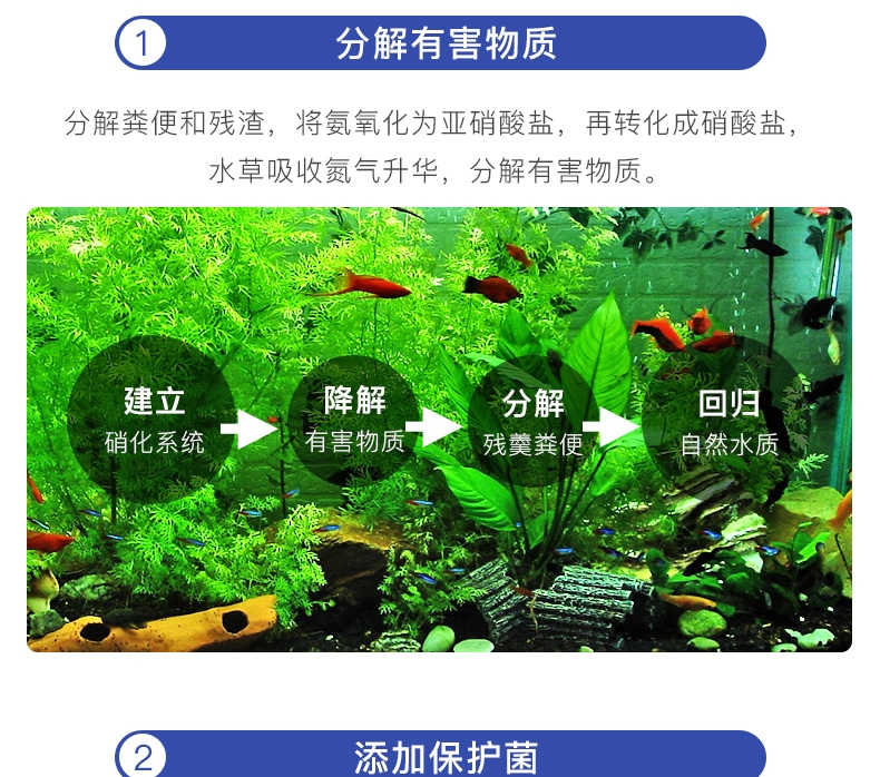 聚宝源硝化细菌(液体)100ml/瓶