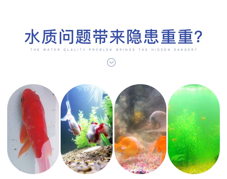 聚宝源硝化细菌(液体)3.8L/瓶