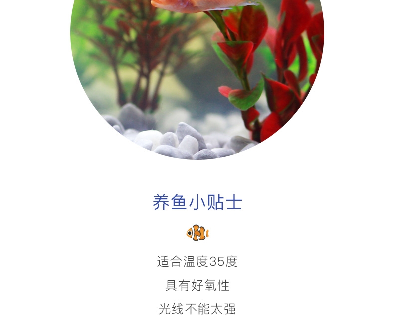 聚宝源硝化细菌(液体)3.8L/瓶