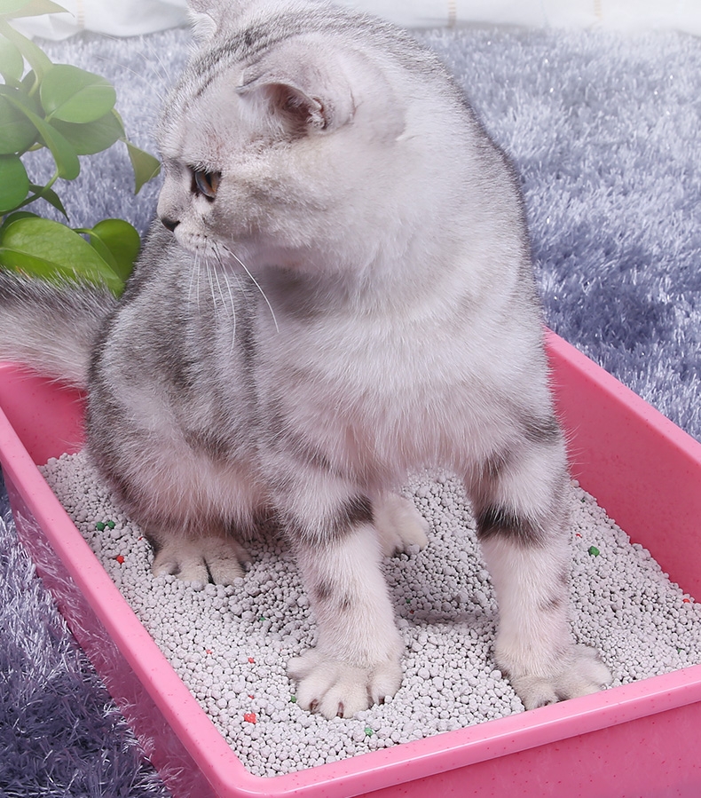 怡亲Yoken 水蜜桃香味膨润土猫砂5L