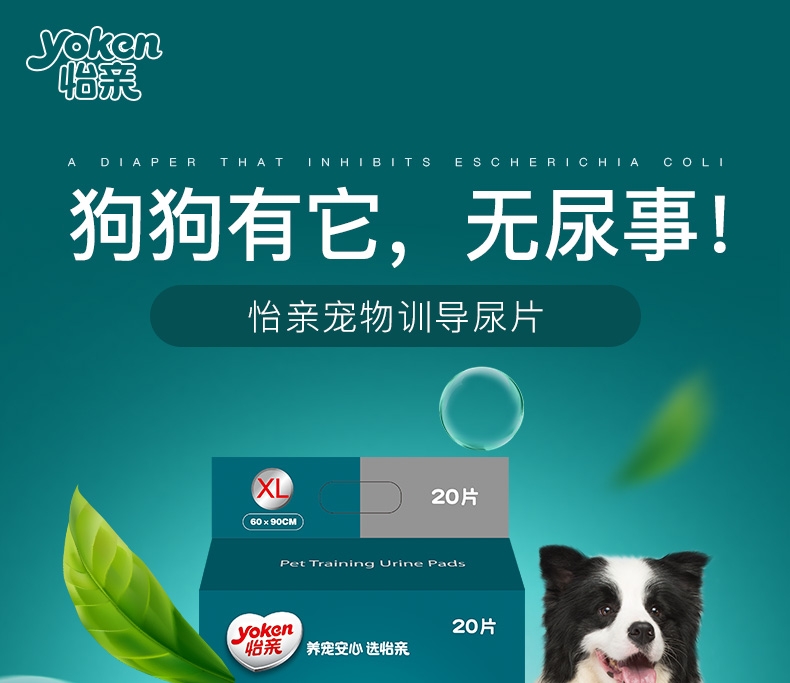 怡亲 宠物训导尿片