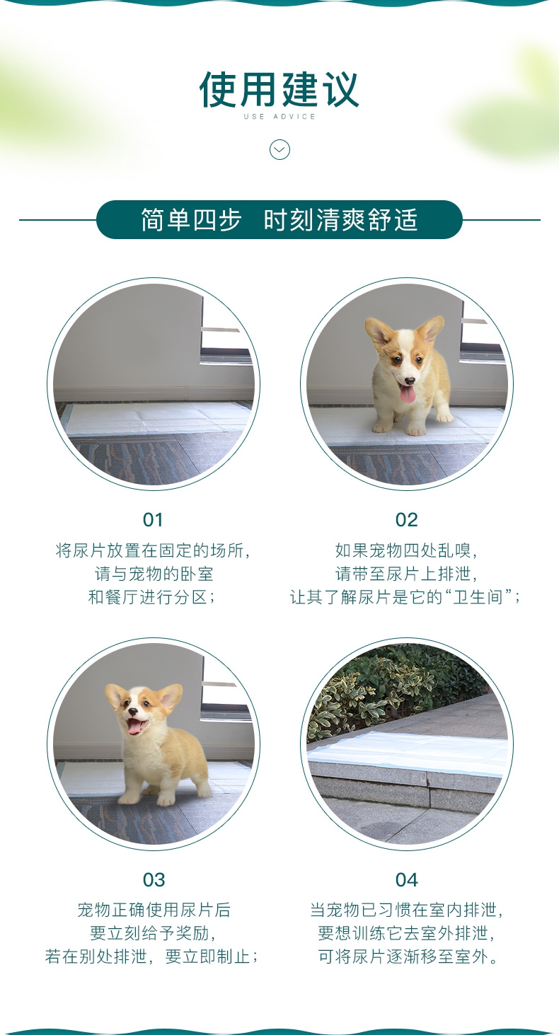 怡亲 宠物训导尿片