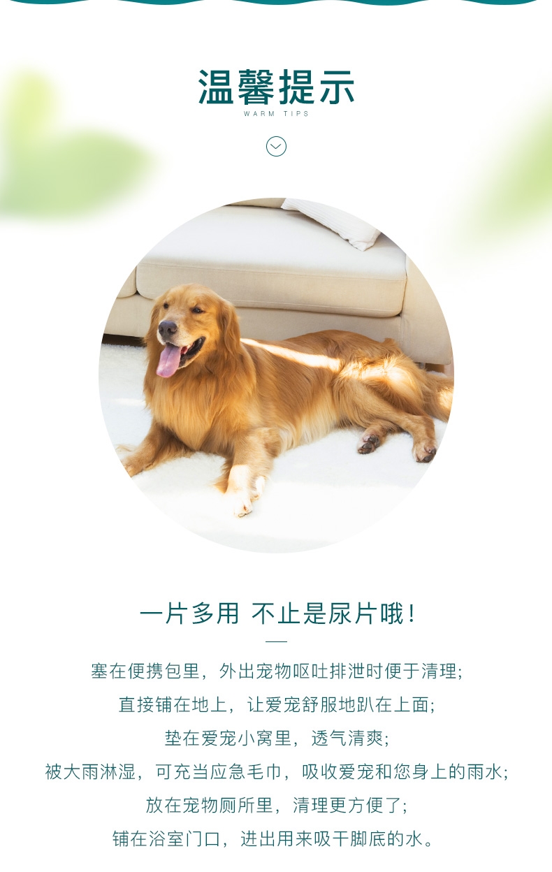 怡亲 宠物训导尿片