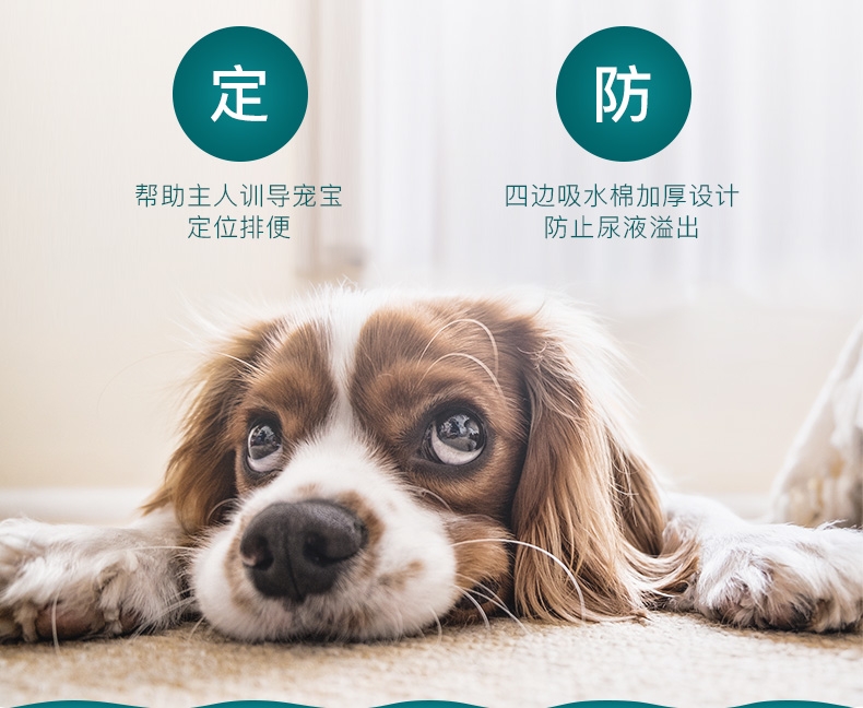 怡亲Yoken 必威官网下载训导尿片