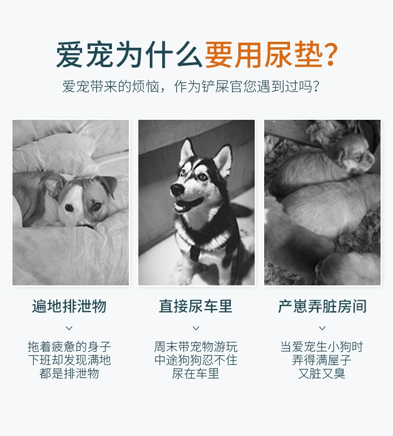 怡亲Yoken 狗狗训导吸水尿片尿垫