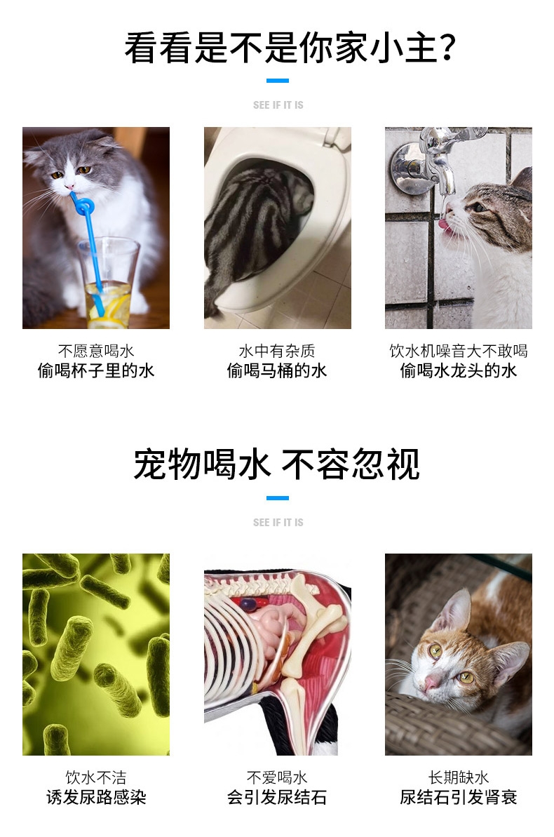 小佩 智能饮水机
