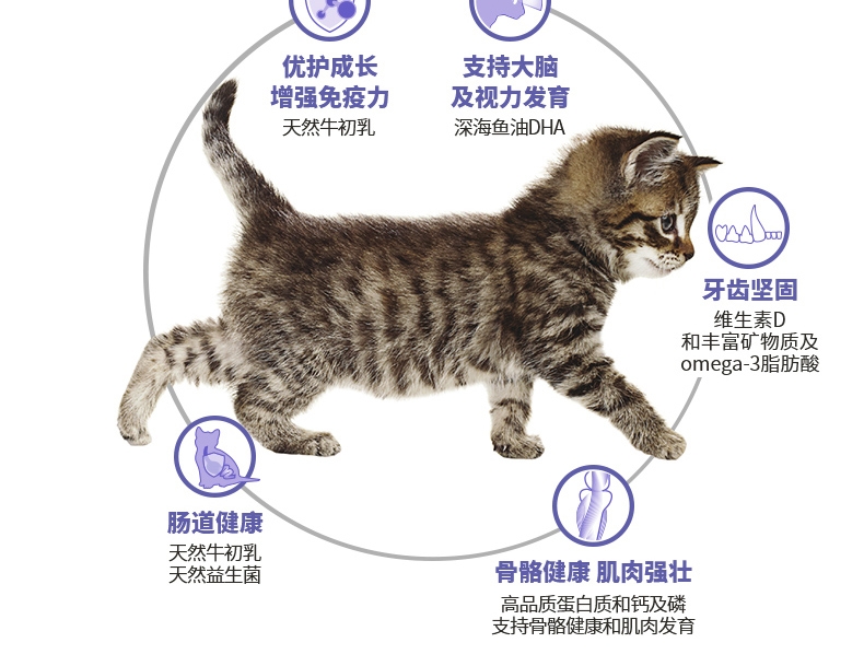 冠能Pro Plan 幼猫全价猫粮2.5kg