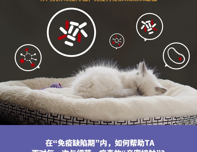 冠能Pro Plan 幼猫全价猫粮2.5kg