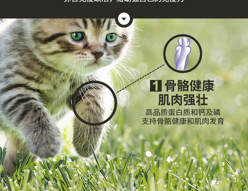 冠能Pro Plan 幼猫全价猫粮2.5kg