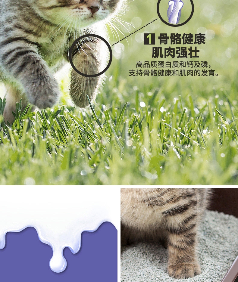 冠能Proplan 添加牛初乳孕猫离乳期6周-1岁幼猫粮 2.5kg