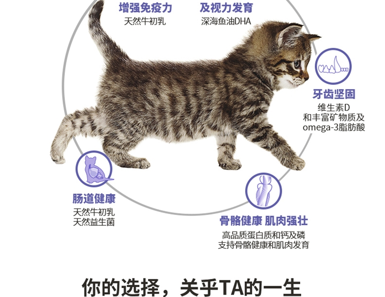 冠能幼猫全价猫粮7kg