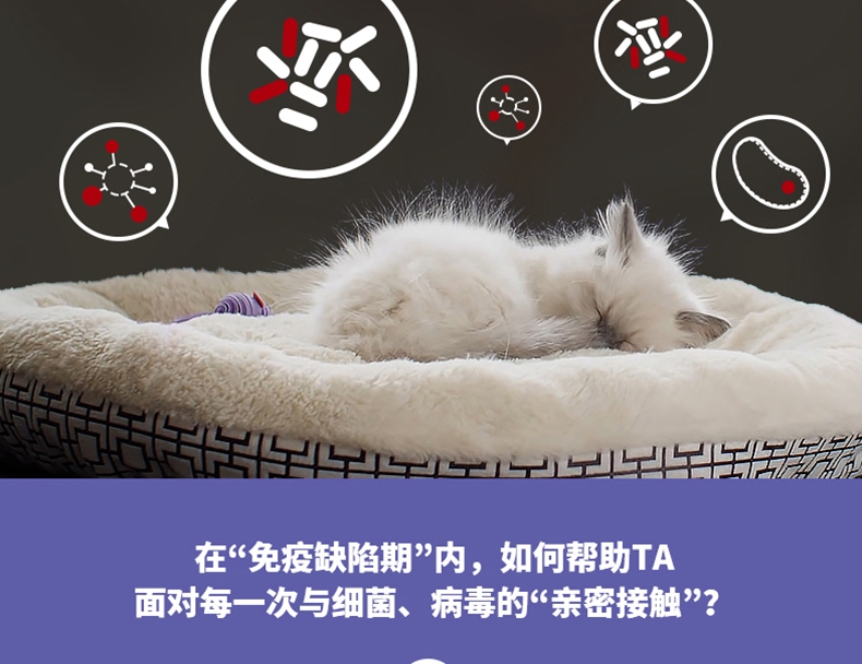 冠能幼猫全价猫粮7kg