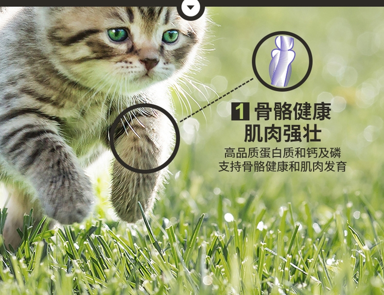 冠能幼猫全价猫粮7kg