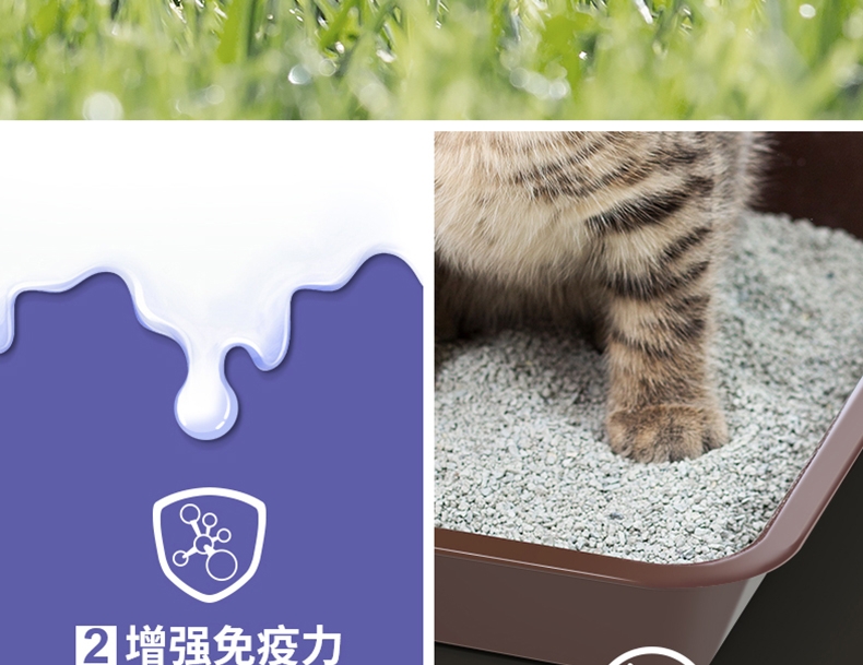 冠能幼猫全价猫粮7kg