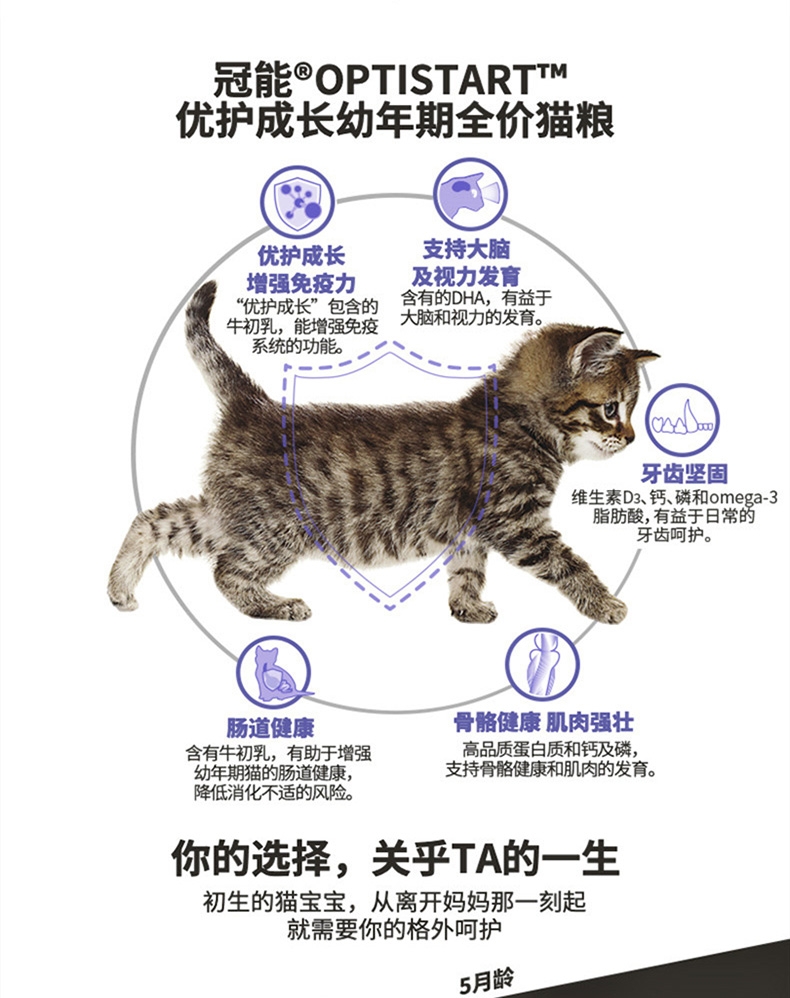 冠能Proplan 添加牛初乳孕猫离乳期6周-1岁幼猫粮 7kg
