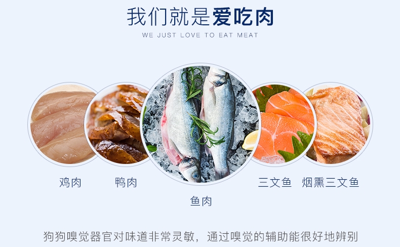 【换购搭赠】卫塔卡夫Vitakraft肉干狗零食 海鲜口味15g