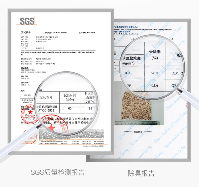 猫殿下Cature 原木结团去味猫砂2.4kg/6L 加强款 无粉尘可冲马桶