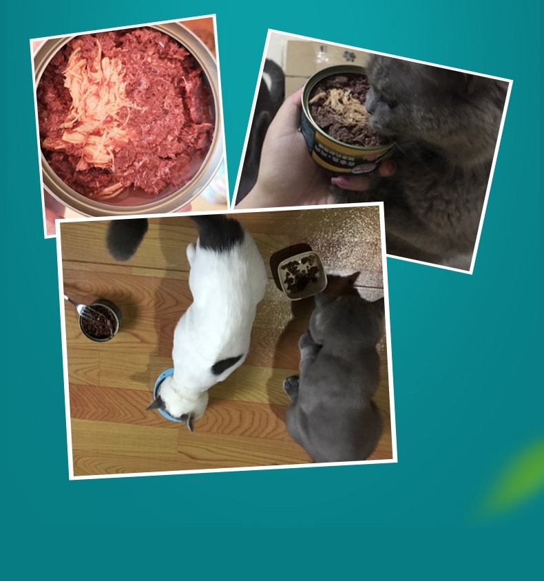 怡亲Yoken 吞拿鱼鸡肉健康机能猫罐头 170g*12