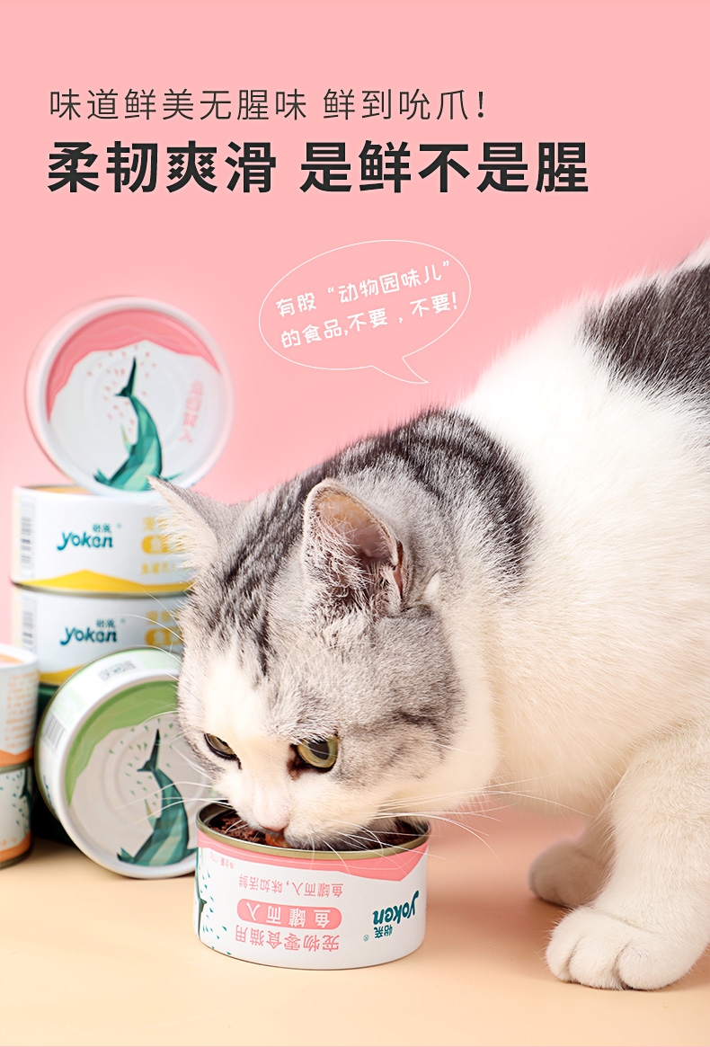 怡亲Yoken 吞拿鱼丁香鱼健康机能猫罐头 170g*12罐