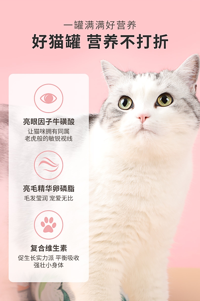 怡亲Yoken 吞拿鱼丁香鱼健康机能猫罐头 170g*12罐