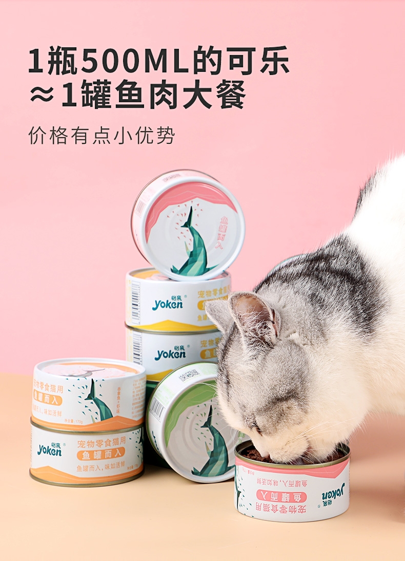怡亲Yoken 吞拿鱼丁香鱼健康机能猫罐头 170g*12罐