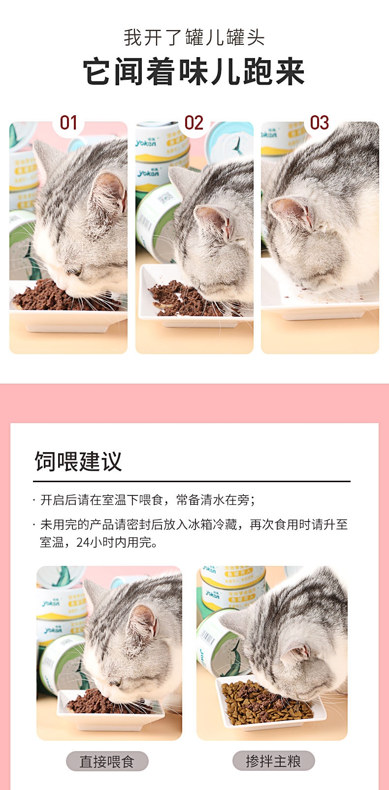 怡亲Yoken 吞拿鱼丁香鱼健康机能猫罐头 170g*12罐