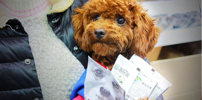 黑鼻头 美毛成犬粮7.5kg