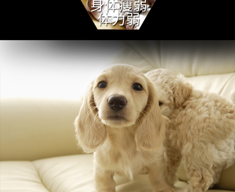 黑鼻头 犬用羊肉芝士实粒派 150g 狗零食磨牙美毛增色