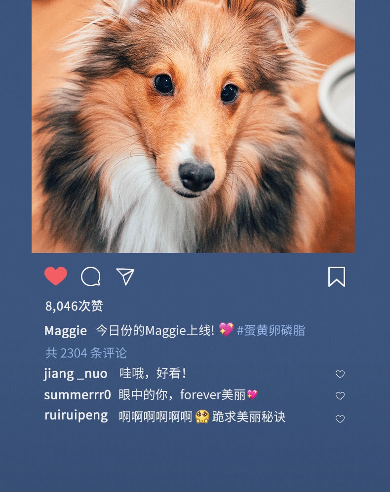 MAG 卵磷脂鱼油颗粒(犬用) 30g*6袋