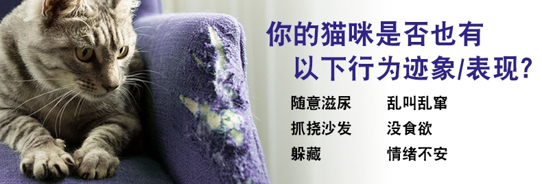 法国诗华Ceva费利威FELIWAY 经典初始套装插电扩散器和30天补充液48ml