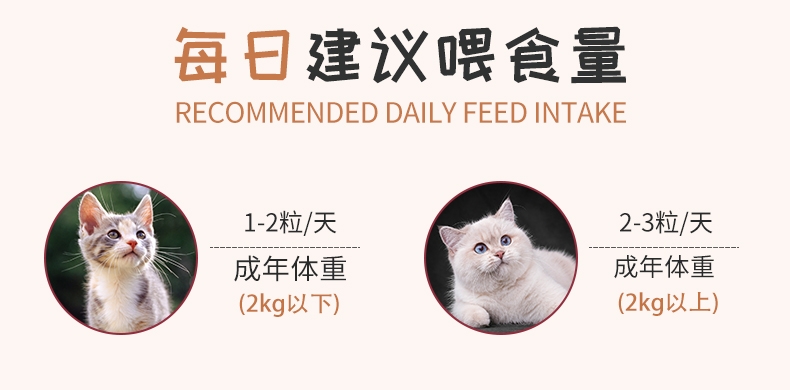 BOTH 幼猫山羊奶布丁猫零食 15g*90粒