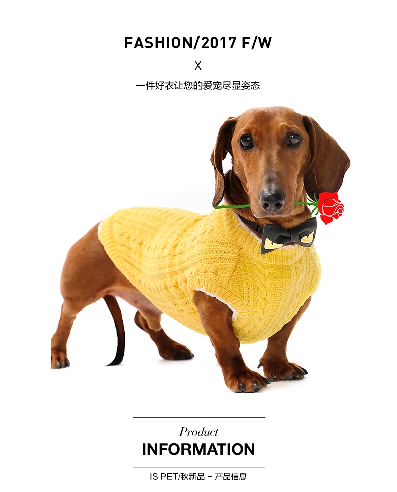 ISPET 雪尼尔狗狗毛衣猫咪衣服宠物两脚衣服