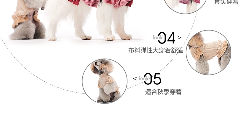 ISPET 宠物衣服金丝绒T恤猫咪衣服狗狗服饰