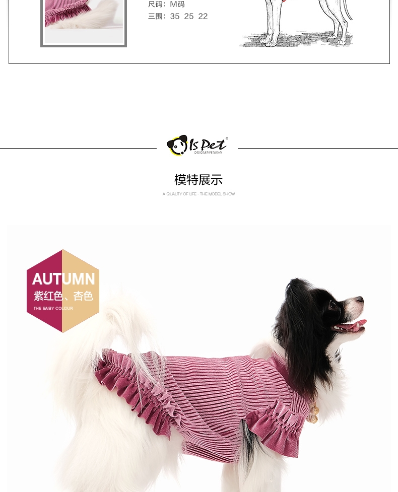 ISPET 宠物衣服金丝绒T恤猫咪衣服狗狗服饰