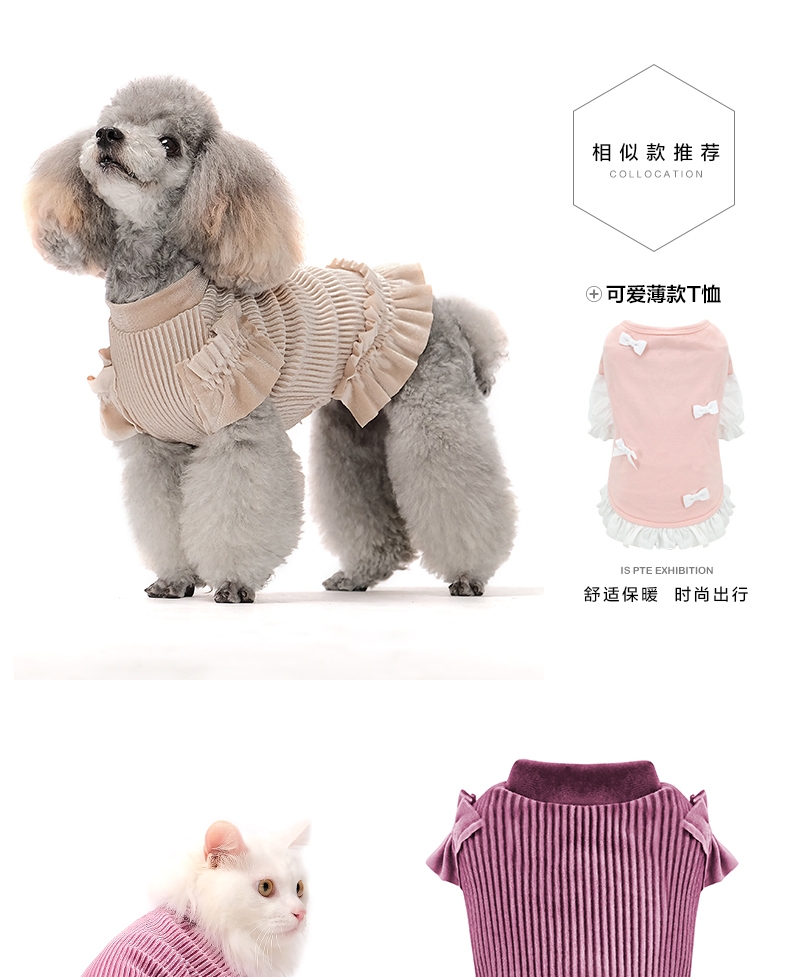 ISPET 宠物衣服金丝绒T恤猫咪衣服狗狗服饰