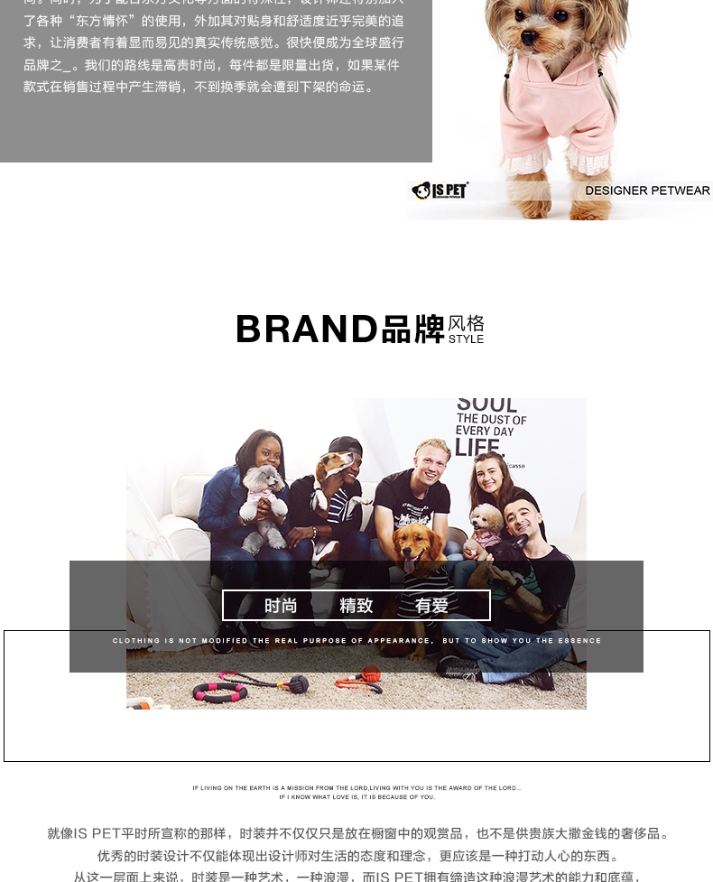 ISPET 宠物衣服金丝绒T恤猫咪衣服狗狗服饰