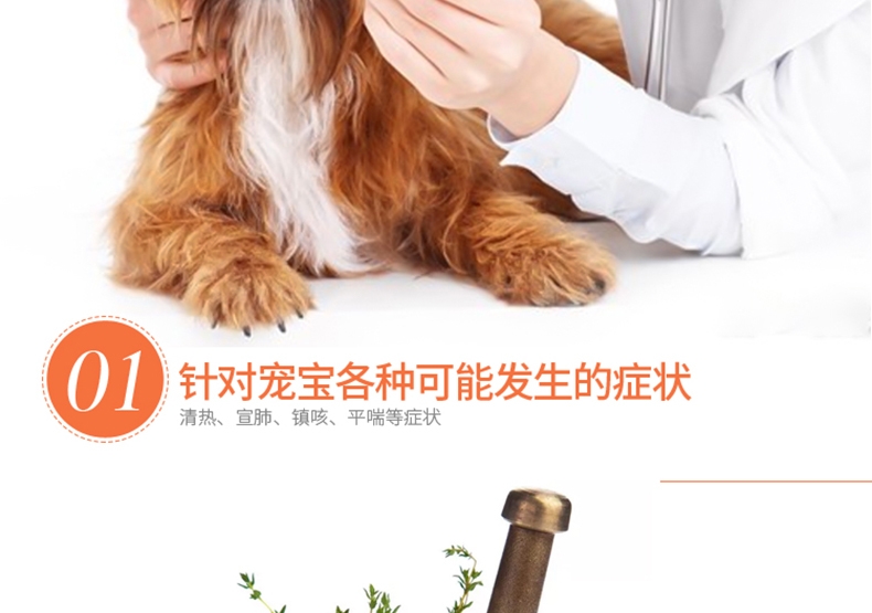 白云山宝神 猫狗咳喘平 麻杏石甘口服液 60ml 治疗感冒咳嗽