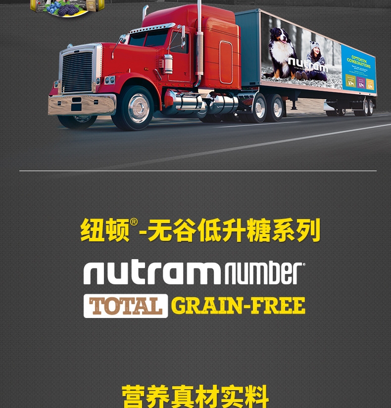 纽顿Nutram T28小型犬及玩赏犬鲑鱼鳟鱼配方全价犬粮 6kg