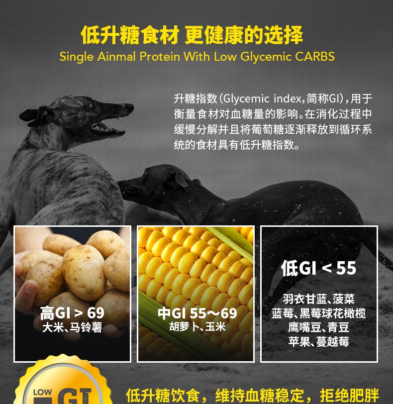纽顿Nutram T22无谷系列去骨鸡肉火鸡肉全期猫粮 1.5kg 加拿大进口