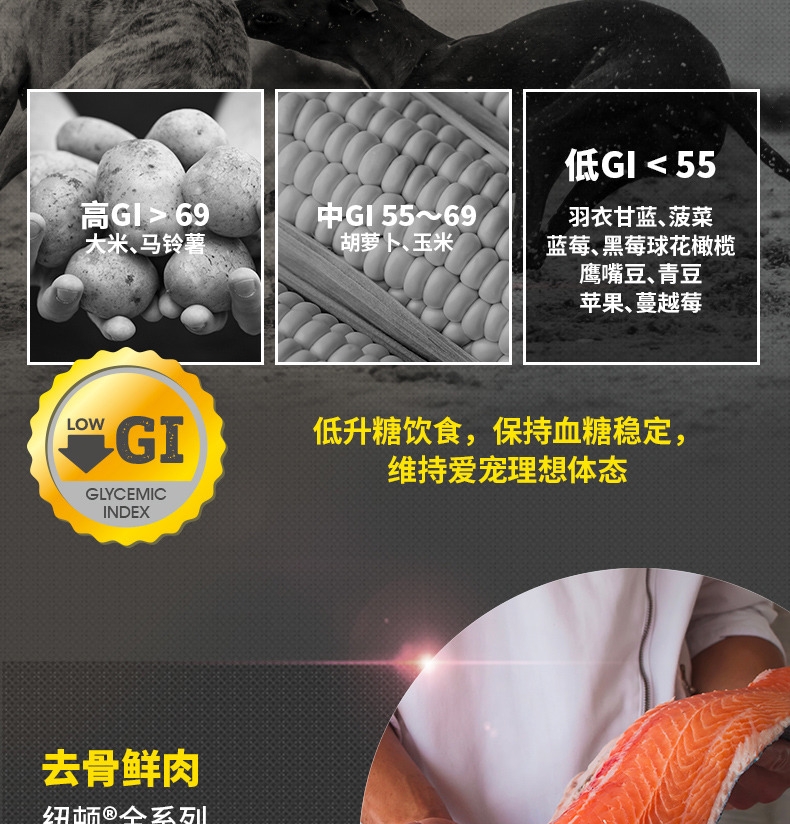 纽顿Nutram T24无谷鲑鱼鳟鱼配方全期猫粮 1.5kg 加拿大进口