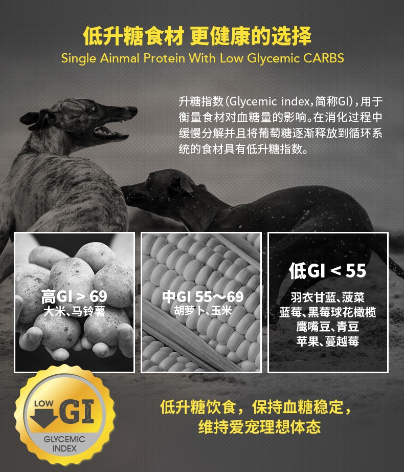 纽顿Nutram T24无谷鲑鱼鳟鱼配方全期猫粮 5.45kg 加拿大进口