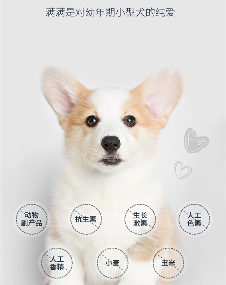 伯纳天纯 鸡肉樱桃小型犬幼犬粮 1.5kg