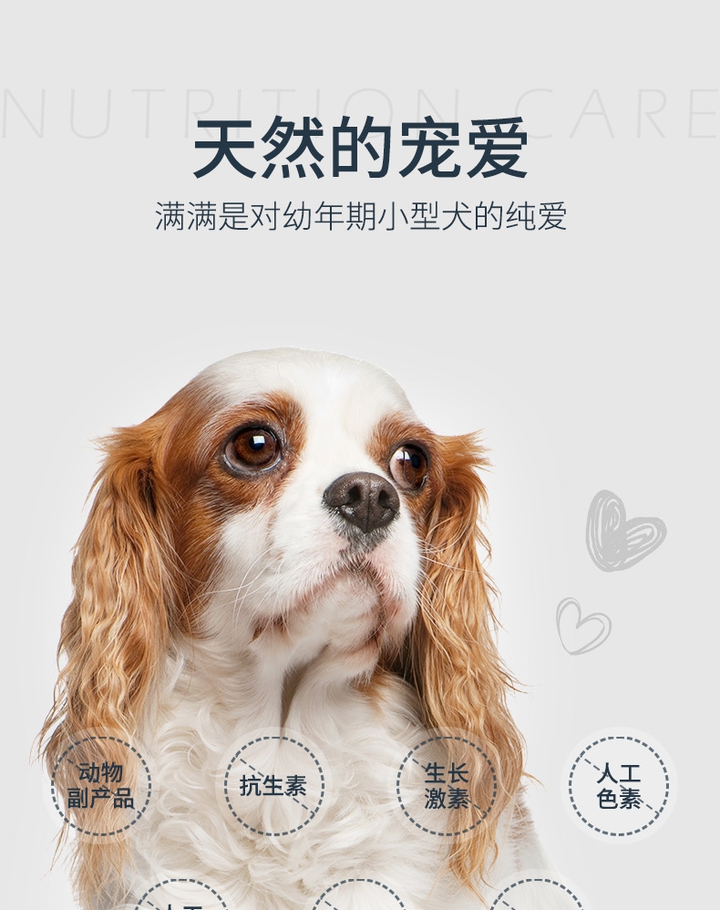 伯纳天纯 鸡肉樱桃小型犬幼犬粮 10kg