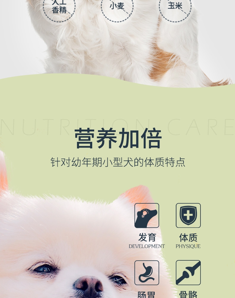 伯纳天纯 鸡肉樱桃小型犬幼犬粮 10kg