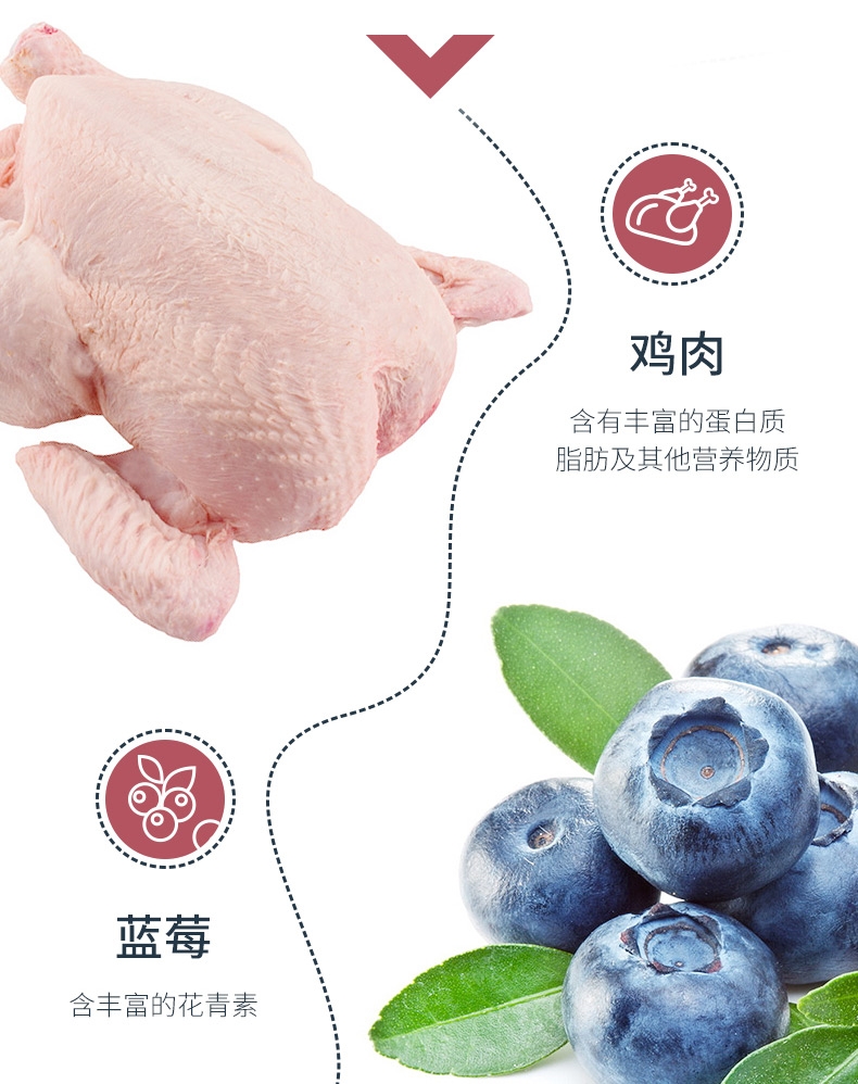 伯纳天纯 鸡肉樱桃小型犬成犬粮 10kg