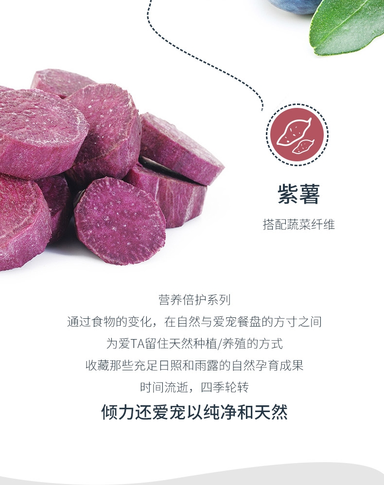 伯纳天纯 鸡肉樱桃小型犬成犬粮 10kg