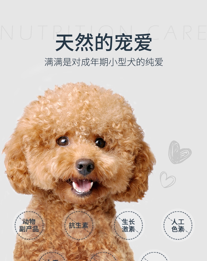 伯纳天纯 鸡肉樱桃小型犬成犬粮 10kg
