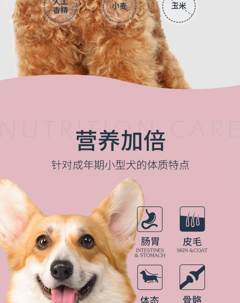 伯纳天纯 鸡肉樱桃小型犬成犬粮 10kg