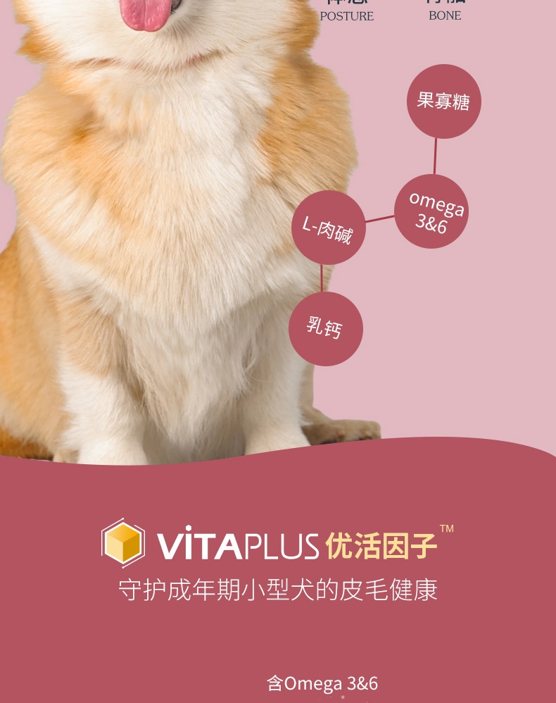伯纳天纯 鸡肉樱桃小型犬成犬粮 10kg